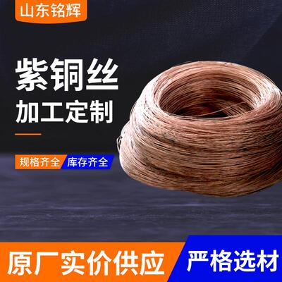 铜铜丝小轴紫丝铜线2毛细紫紫铜丝T无氧紫铜线PVW电线电缆紫铜丝