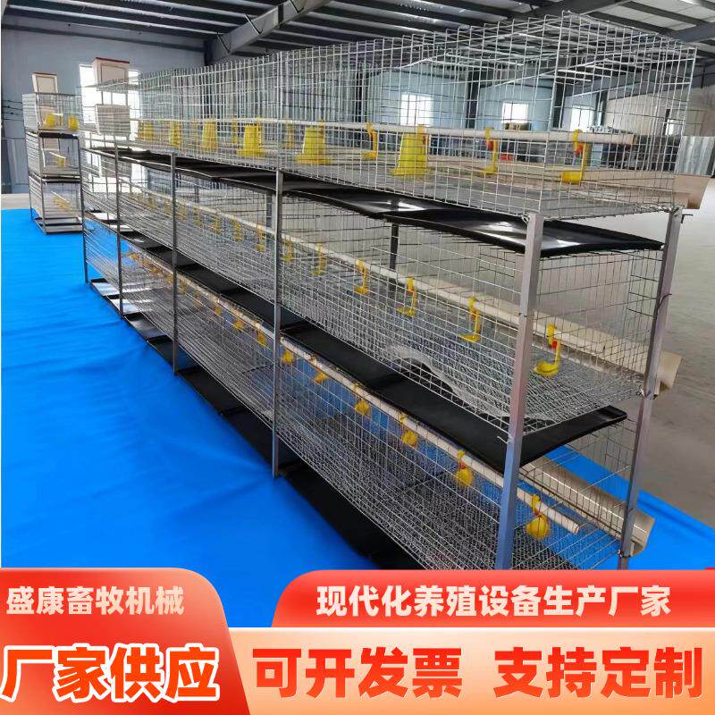 框架肉鸡笼镀锌养殖鸡笼H型肉鸡笼层叠式含托粪盘塑料网水箱鸡笼