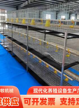 框架肉鸡笼镀锌养殖鸡笼H型肉鸡笼层叠式含托粪盘塑料网水箱鸡笼