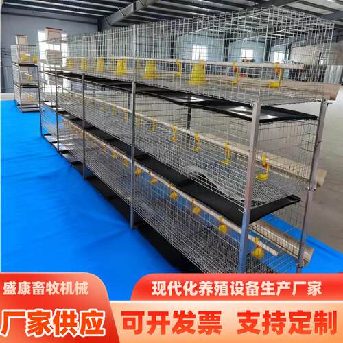 框架肉鸡笼镀锌养殖鸡笼H型肉鸡笼层叠式含托粪盘塑料网水箱鸡笼