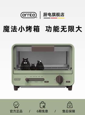 ERNTE ETS-2101-OG昂特ERNTE电烤箱迷你单层家用小型覆古多功能烤