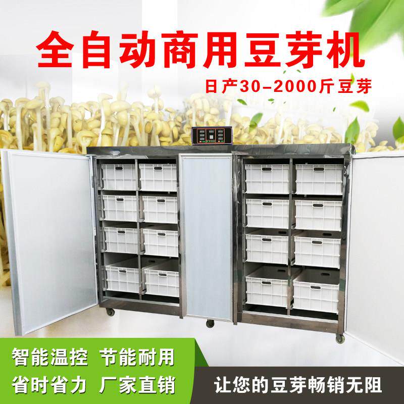 鑫圣阳光全自动豆芽机大型豆芽发芽机器 商用豆芽机 豆芽机厂家