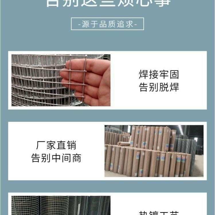 现货热镀锌铁丝网防锈铁丝网家禽围栏网鸡鸽兔笼网鱼塘果园防护网