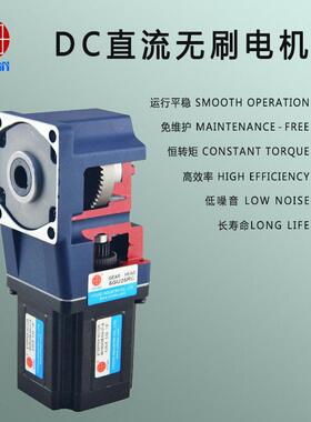 300W低压直流无刷直角速机5BLD300-24GU-30S缓存输送机速电机