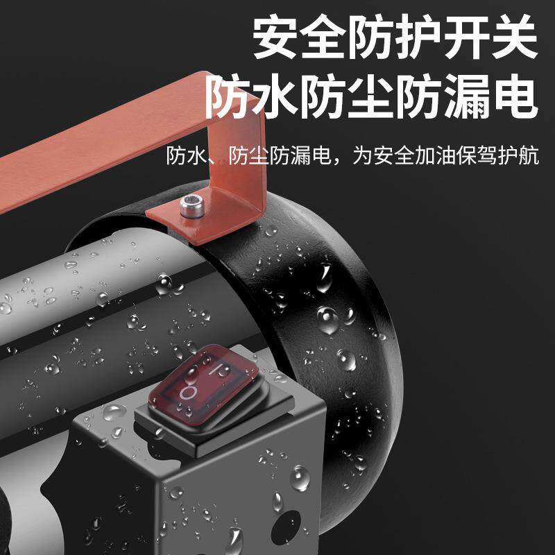 电动抽油泵柴油12v24v220v自吸泵液压油抽油机机油泵齿轮泵