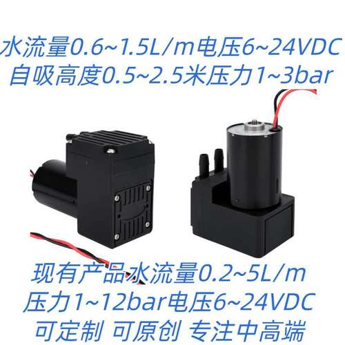 微型水泵无刷 1L 无刷直流水泵 12V24V 高温隔膜无刷泵循环水泵