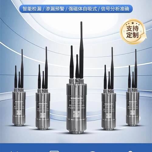 漏水检测仪 管道噪声水听器 管网漏损探漏探测仪