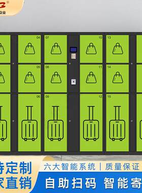 行李柜车站酒店景区酒吧自助联网储物柜共享行李存放柜智能储存柜