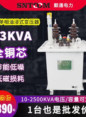 10kvD11单相油浸式电力配电变压器250工业315/400/63080全铜63kva