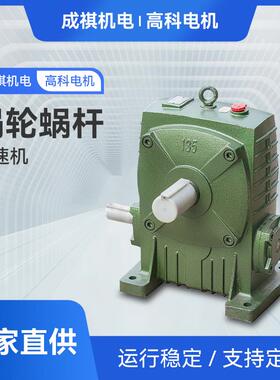 WPA涡轮蜗杆减速机 小型铁壳立式减速机高科电机 涡轮蜗杆减速机