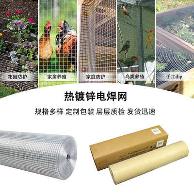 热销1/2inch 1/4inch镀锌电焊网供应生产养殖笼抹墙专用