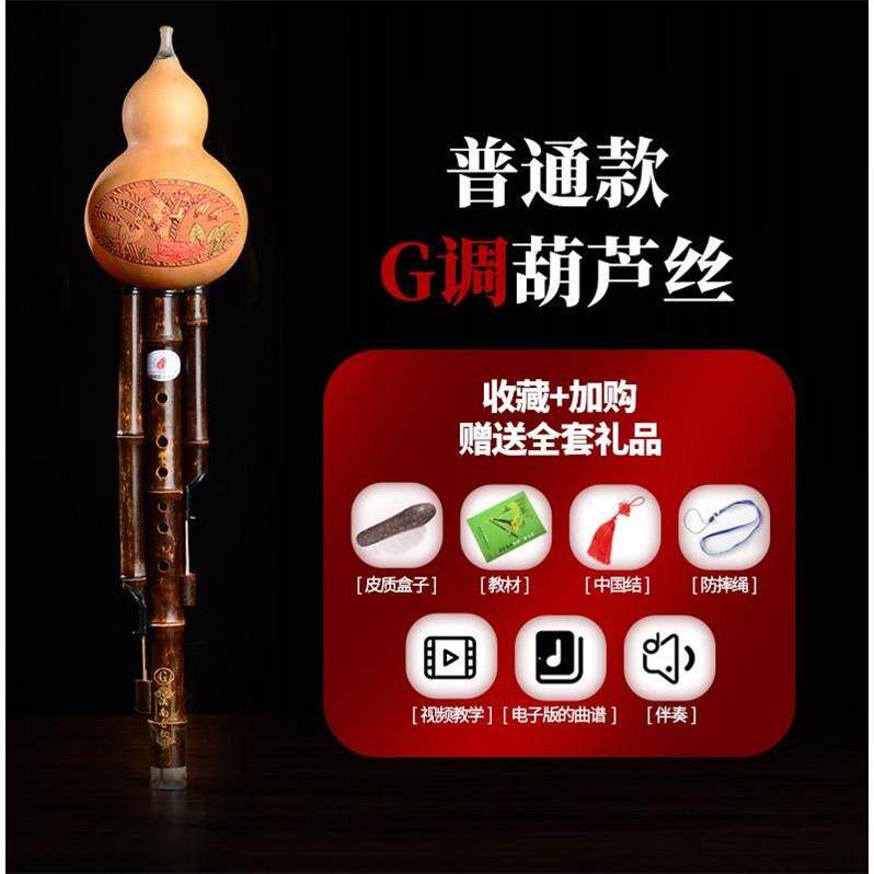 高档滇南古韵学校款c 葫丝初学者调降b调g调f调d小调儿童云芦南乐