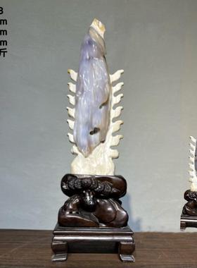 正品甸天然树化石玉绿料木化石缅玉石石头奇石观赏办公送 摆件礼