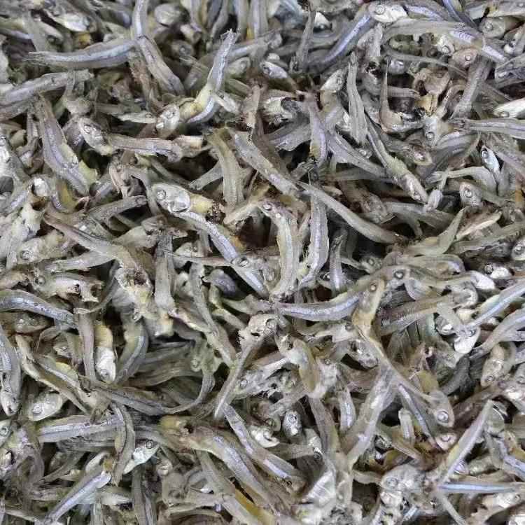 海燕鱼干500g一斤装海蜓鱼干小鱼仔干丁香鱼银鱼干特产海鲜干货