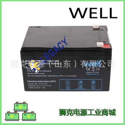 BAT-LEAD-12V24AH电瓶阀控式高性能免维护电池荷兰WELL蓄电池