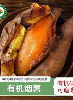 有机烟薯5斤 山东烟薯烤红薯番薯地瓜糖心红薯蜜薯