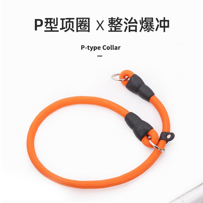 狗狗项圈P链P绳训犬牵引绳泰迪小型柯基边牧中型金毛大型犬狗链子