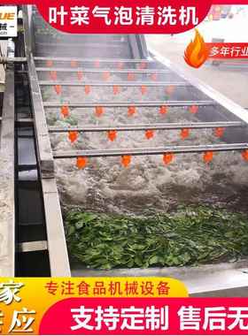 商机用果蔬清洗葱机叶菜气泡洗臭氧洗菜净菜前处理清线小香清NHN