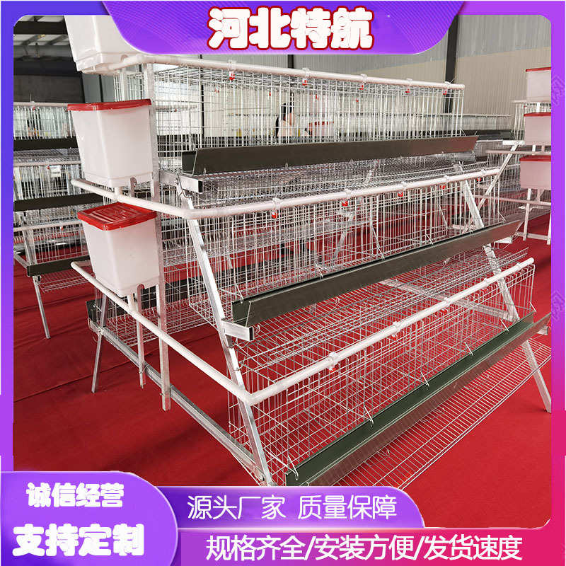阶梯蛋鸡笼A型镀锌丝鸡笼立式养鸡设备鸡舍多层鸡窝加粗鸡笼底网