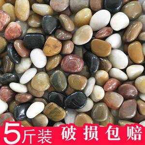 天然鹅卵石小石头石子雨花石原石庭院鱼缸花盆造景五彩石大鹅软石