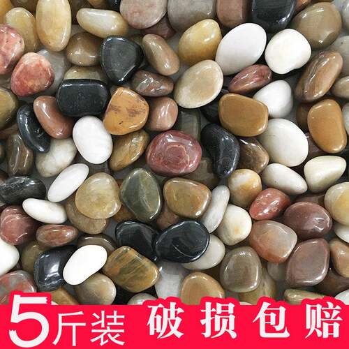 天然鹅卵石小石头石子雨花石原石庭院鱼缸花盆造景五彩石大鹅软石