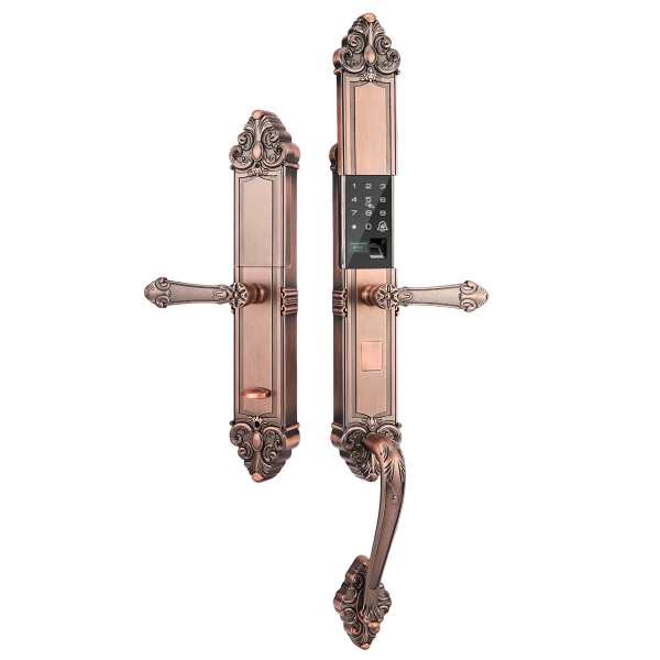 防水防冻防晒户外对开大门欧式别墅指纹家用指纹密码智能锁老木门