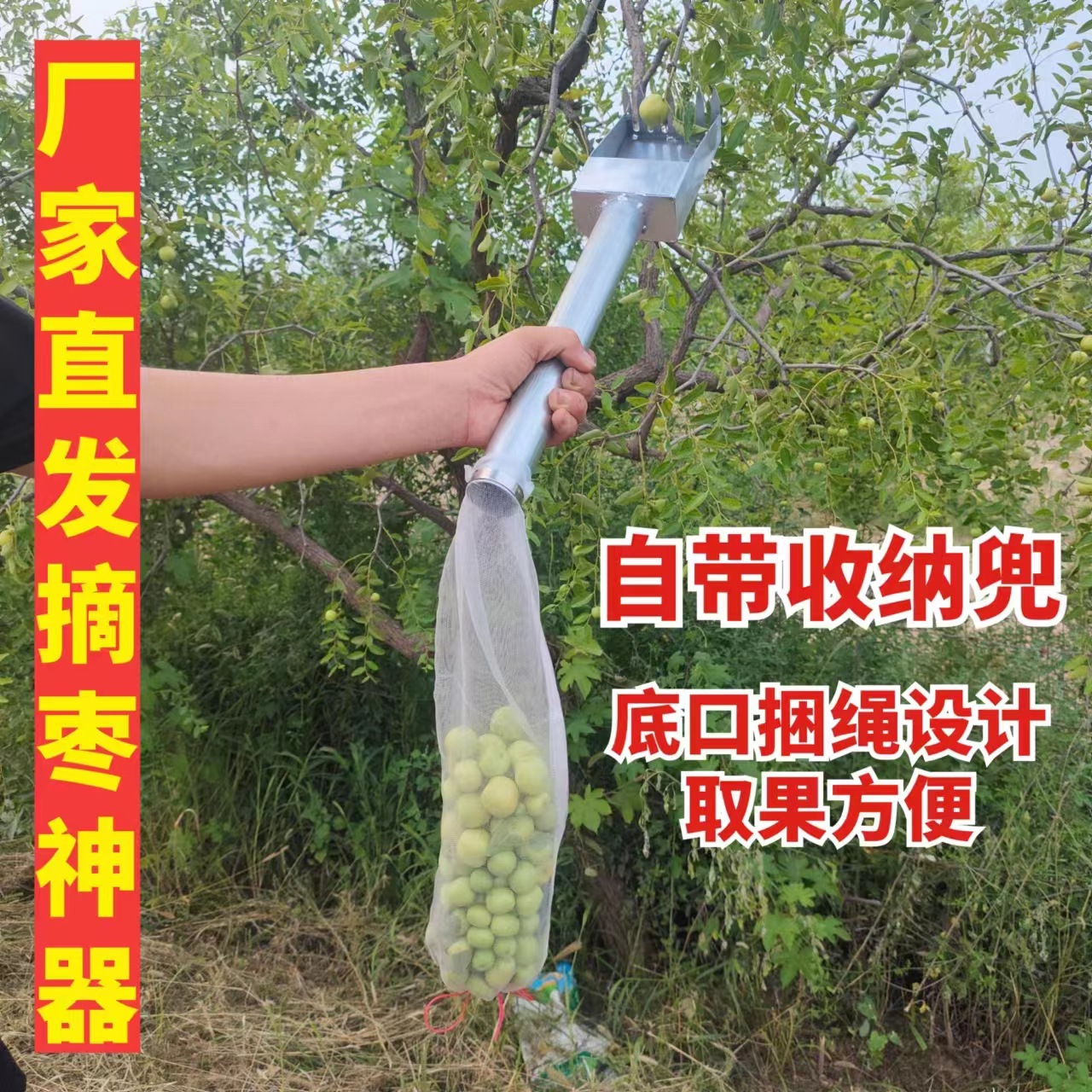 摘酸枣神器新款摘野枣机手动农用摘果器防扎手高效摘山果山枣工具