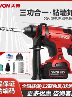 大有充电电锤钻无刷锤钻打孔工业级混凝土手持式冲击钻电动5401套
