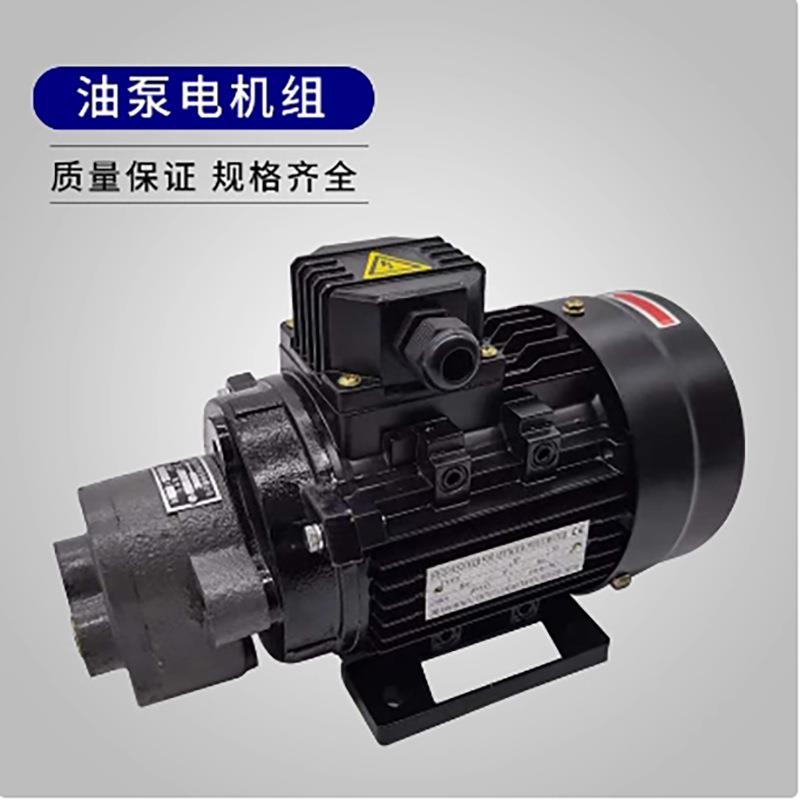 液压油泵电机组CB-B10 0.55KW液压泵总成内轴电机液压站配件系统