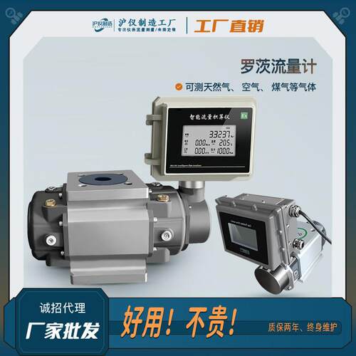 气体罗茨流量计G65DN50 腰轮天然气流量计EVC300 煤气沼气罗茨表