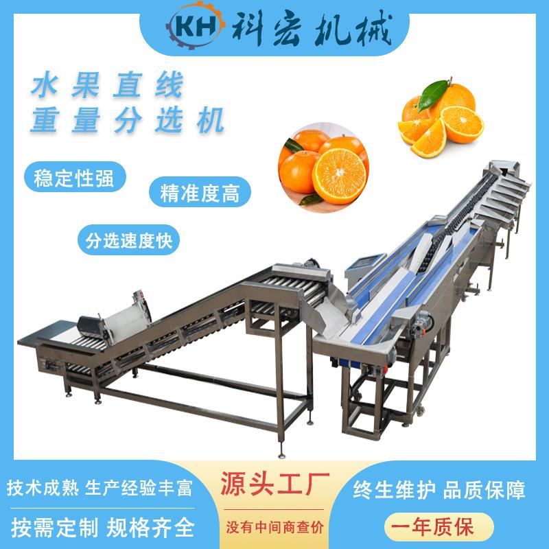 科宏机械水果直线重量分选机沃柑橙子水果智能分选洋葱重量分拣