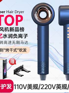 2026新款110V电吹风机家用高速负离子护发速干莱芬吹风筒美规英规