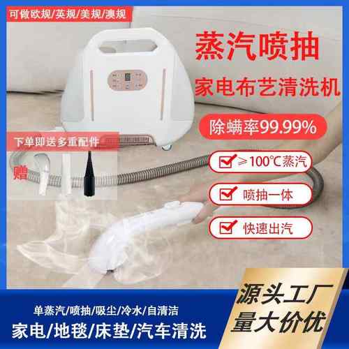 多功能蒸汽清洗机喷汽机布艺清洗机喷抽吸一体沙发床垫厨房清洁机
