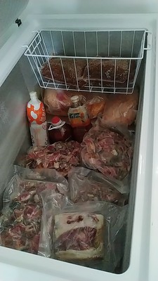 客观分析容声BD/BC-309MD冰柜怎么样，好不好用最新评价是