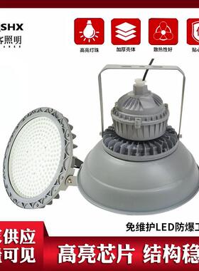免维护加厚防爆灯仓库工矿灯带罩泛光灯LED灰色圆形防爆灯工厂灯