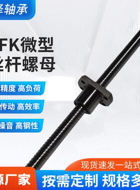 微型丝杆螺母SFK系列0802 0802.5 1002 1004 1202滚珠丝杆螺母