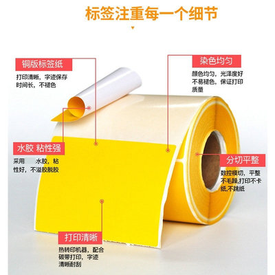 编号不干胶标签纸红黄绿蓝粉橙紫棕色贴纸彩色铜版纸