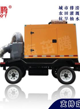 ZCW250-420-20DT4自吸排污泵农用水泵 大型柴油水泵 抢险排污泵