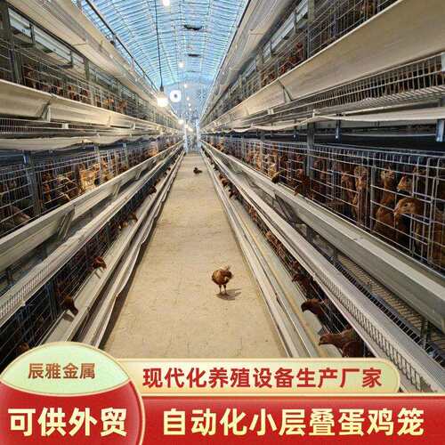 热镀锌小层叠蛋鸡笼自动化捡蛋机设备农场养鸡自动清粪上料鸡笼