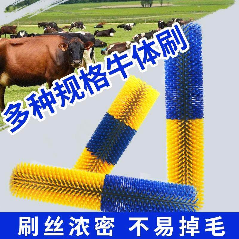 牛体专用清洁毛刷辊蹭痒滚刷旋转毛刷轮奶牛电动自动按摩刷挠痒痒