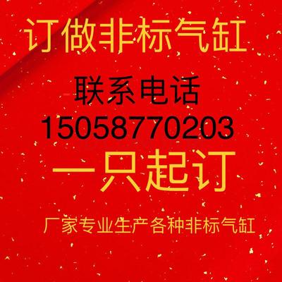 订做非标气缸SDA薄型气缸迷你型小气缸SC DSBC DSNU SI40-50非标