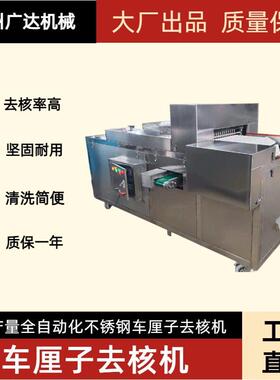 沧州广达机械车厘子去核机现货产量大型供应车厘子去核机械
