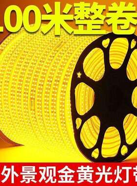 灯带led灯条家用户外防水高亮室外外墙建筑工地隧道房间照明220VV