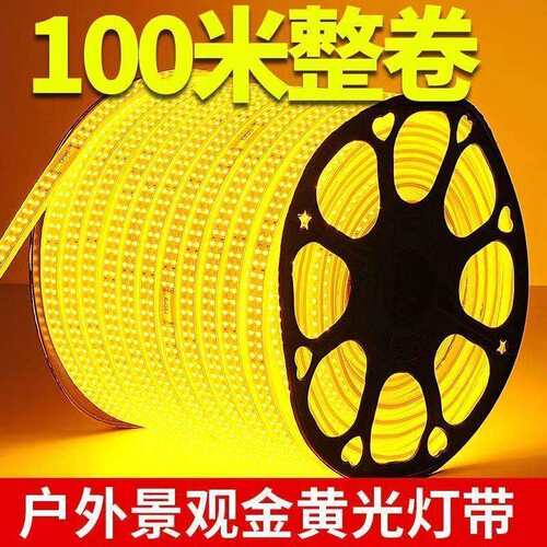 灯带led灯条家用户外防水高亮室外外墙建筑工地隧道房间照明220VV