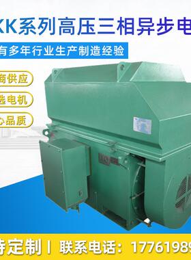 Y系列Y6302-22000W3.3V6V10V三相异步电机