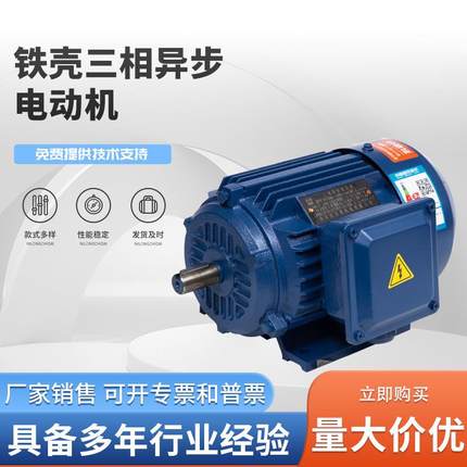 YE3铁壳三相异步电动机全铜国标380YE3系列2级4级6级多规格电机