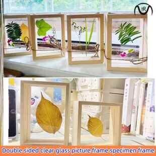 Double sided transparent acrylic photo frame specimen frame