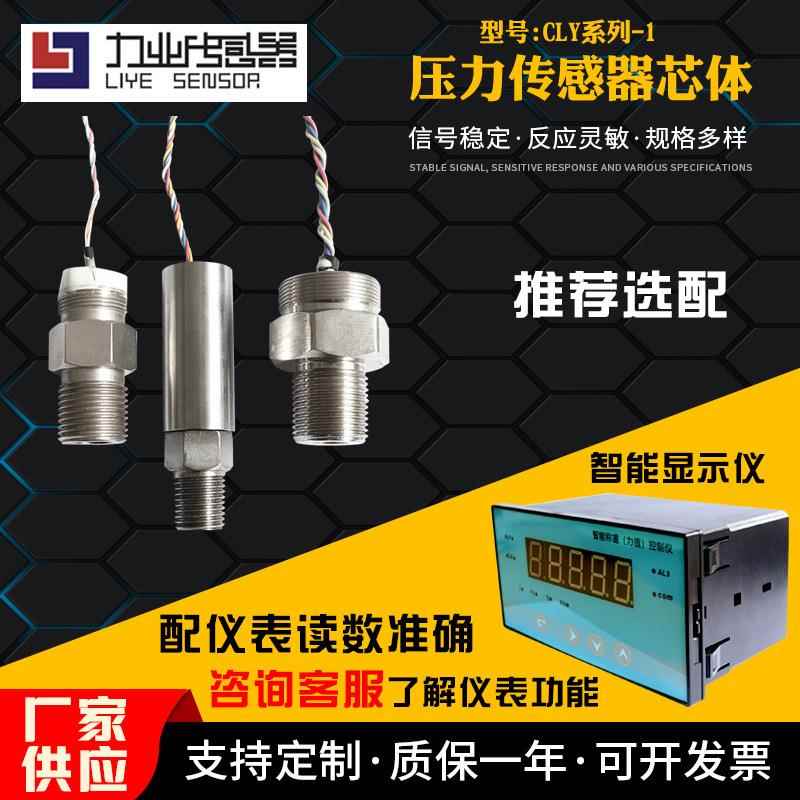 销售压力液位检测传感器CLY系列-1压力传感器芯体压力传感器