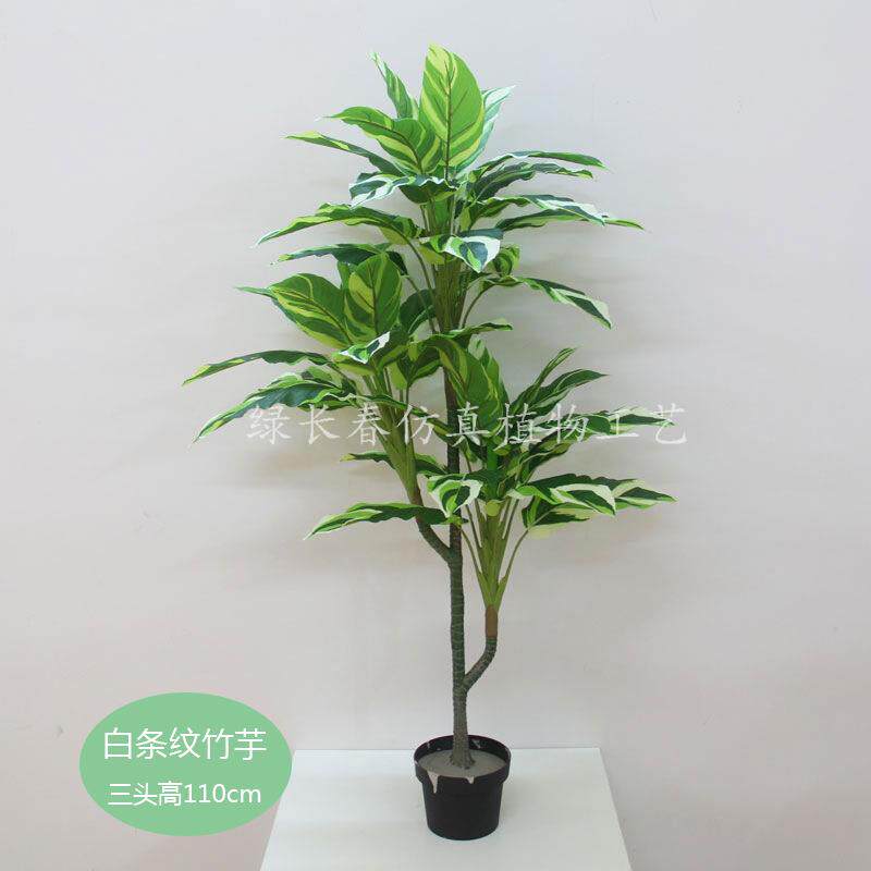 绿长春仿真植物小盆栽三头竹芋万年青假树盆景摆放家居装饰