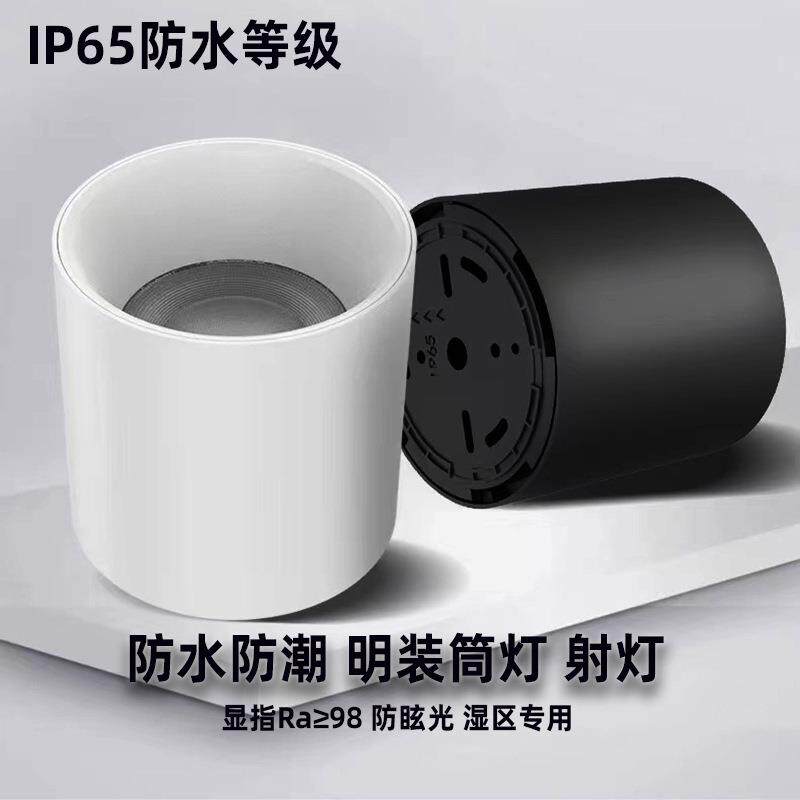 明装防水射灯筒灯浴室卫生间阳台户外厕所防潮防雾大瓦数圆形射灯